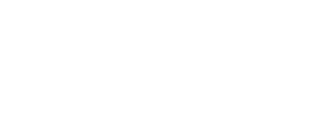 Logo_white_Deloitte